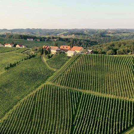 مبيت وإفطار Spodnji Jakobski Dol Wine & Tourism Bracko المظهر الخارجي الصورة