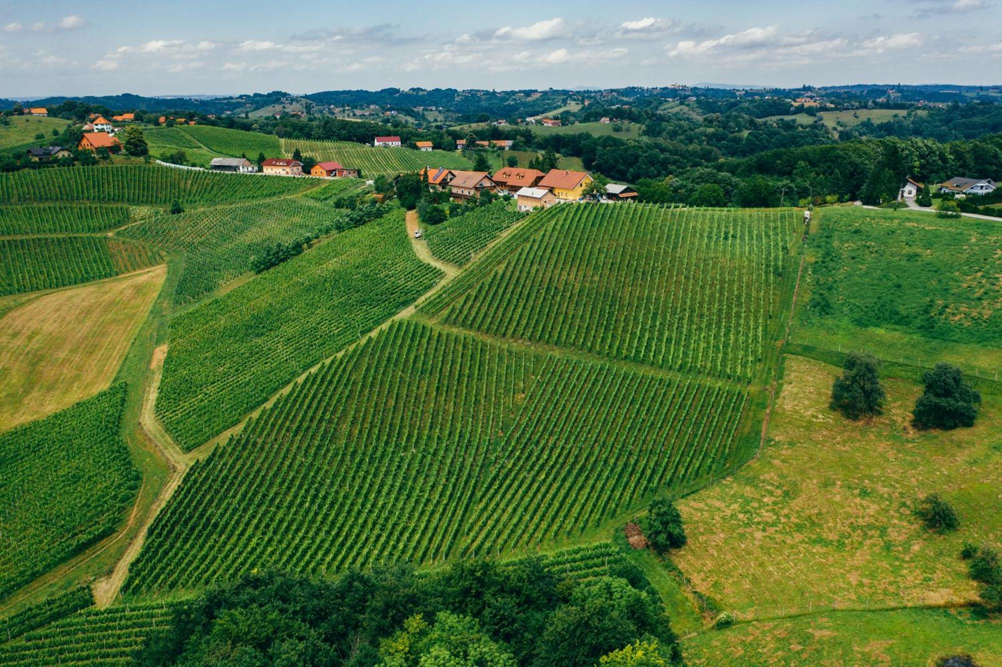 مبيت وإفطار Spodnji Jakobski Dol Wine & Tourism Bracko المظهر الخارجي الصورة